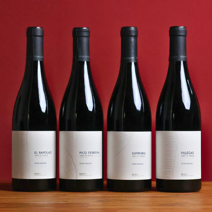 Cesar Marquez Mencia Masterclass Pack