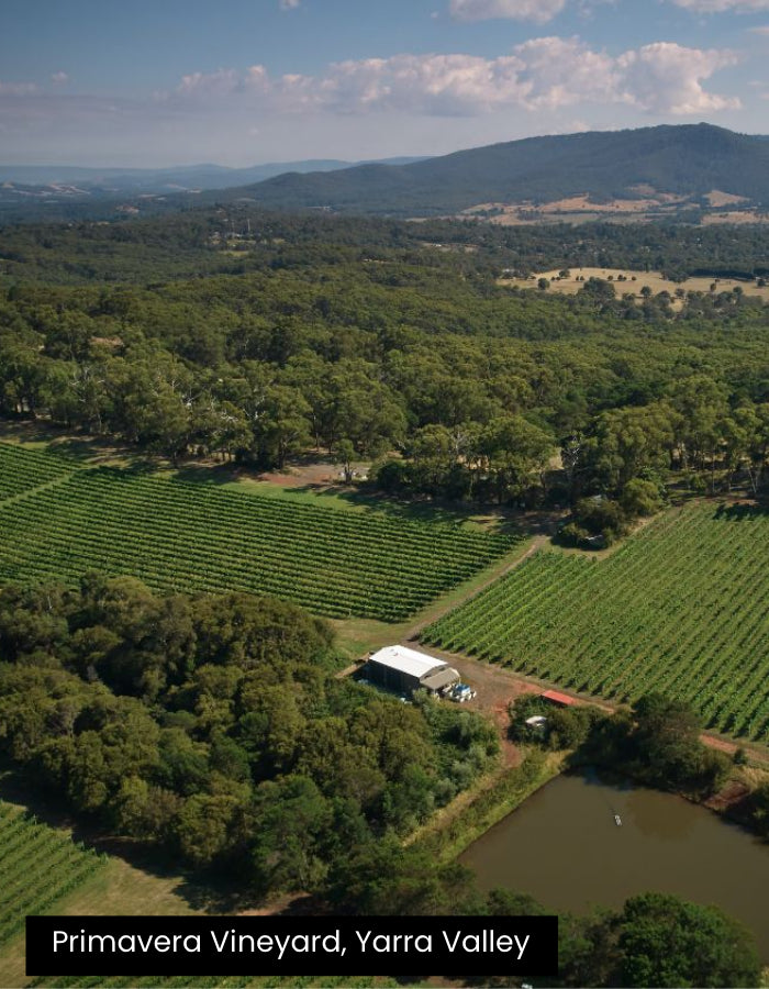 2024 Giant Steps Yarra Valley Pinot Noir