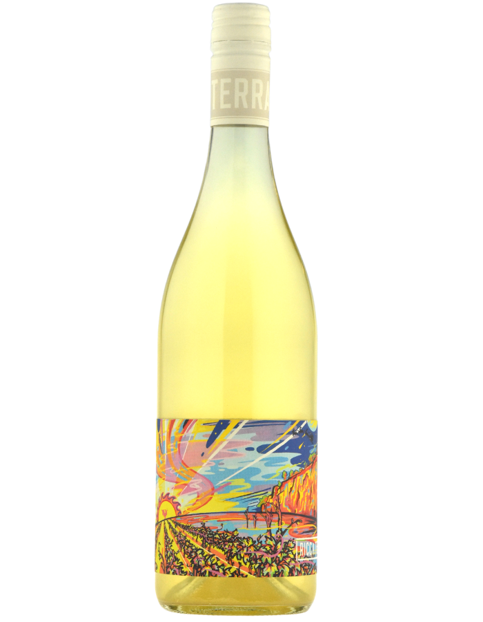 2025 Ricca Terra Vintners Skin Contact