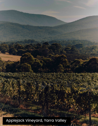 2024 Giant Steps Yarra Valley Pinot Noir