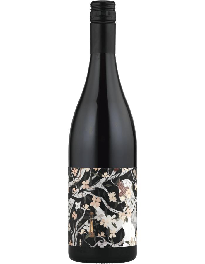 2018 Adelina Eternal Return Dolcetto [DUPLICATE]
