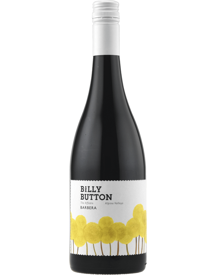 2021 Billy Button The Affable Barbera