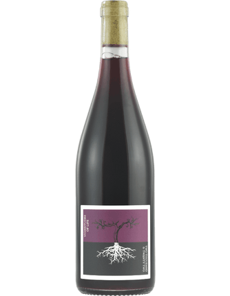 2022 Poppelvej Vicissitudes of Life Pinot Noir